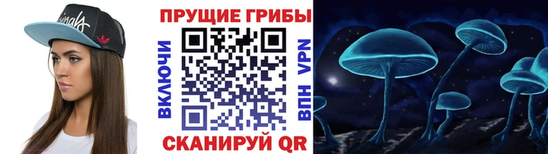 Купить где Сенгилей Псилоцибиновые грибы мухоморы